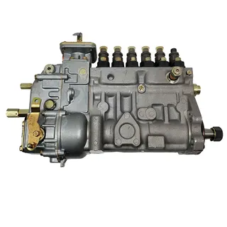 6 Cylinder Fuel Injection Pump 092000-1070 3924843 for Cummins Engine 6C8.3