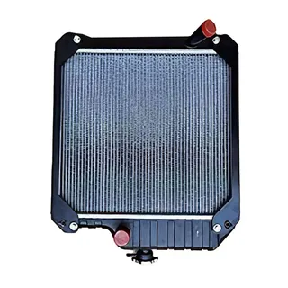 Radiator 067322 067323T1 450208 45-0208 for Massey Ferguson AGCO Loader