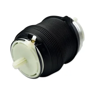 Rear Air Suspension Spring Bag 4F0616001 for Audi A6 2006-2011 A6 Quattro S6 Car 2005-2011