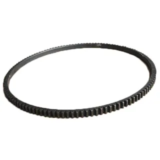 Ring Gear 4993172 for Cummins Engine DCEC