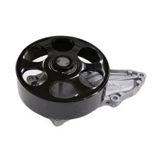 Water Pump 19200-RAA-A01 for Honda Vehicle 2003-2011 Element 2007-2009 CR-V 2003-2007 Accord
