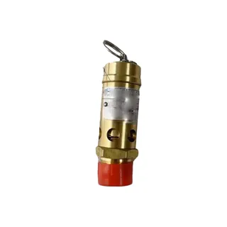 Safety Valve 99294621 for Ingersoll Rand Air Compressor