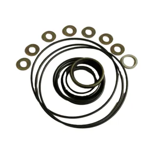 Seal Kit 2421610110 for Haulotte