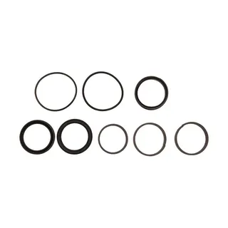 Seal Kit 2902182 for JLG Scissor Lift 260MRT 3394RT 4394RT 530LRT