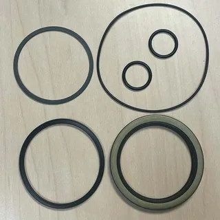 Seal Kit 6406 6406-000 for Eaton Char-Lynn Motor 119 10000 Series