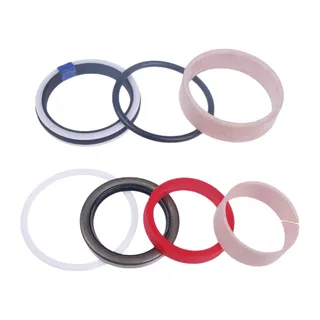 Bucket Cylinder Seal Kit 87311856 for Case L350A LX350 L350 L160 LX116 New Holland 250TLA 16LA 260TL 17LA 250TL Loader