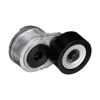 Serpentine Belt Tensioner Pulley Assembly 9062003170 9062002470 for Freightliner M2-106 Sterling Acterra 6500 7500 8500 Truck