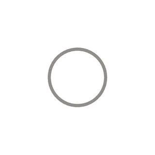 Shim 2899693 for Cummins Engine