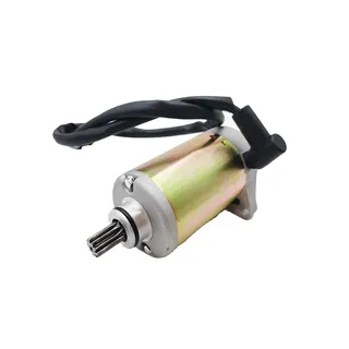 Starter Motor 31200-013-0000 for Hisun 250 Massimo Gunner 250 Bennche Cowboy 250 Coleman UT250 Spire 250 ATV