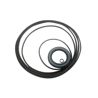 Swing Motor Seal Kit For Hitachi ZX120