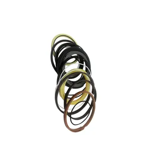 Swing Motor Seal Kit For HYUNDAI R200