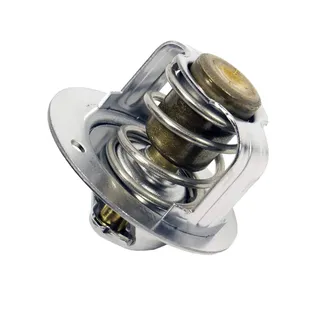 Thermostat 6D3-12411-00-00 for Yamaha AR210 SR210 SX210 FZR VXS 212SS Marine