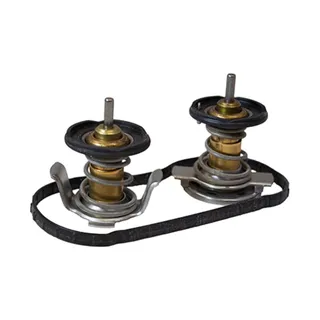 Thermostat And Gasket Kit 8C3Z-8575-D for Ford F-250 350 450 550 Super Duty 2008-2010