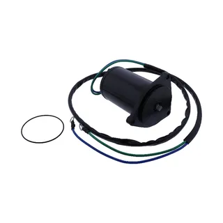 Tilt Trim Motor 64E-43880-04-00 for Yamaha Outboard 115-225HP 4 Bolt 2 Wire