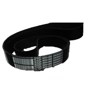 V Ribbed Belt 3681636 for Cummins QSX15 ISX15 Engine