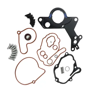 Vacuum Pump Repair Kit for VW Passat Beetle Golf Jetta TDI BEW BRM BHW