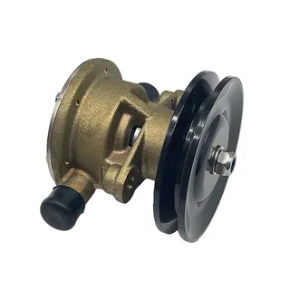 Water Pump 128990-42500 for Yanmar Engine 2YM15 3YM20 3YM30 2GM20C 3GM30