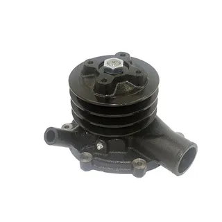 Water Pump 25100-93210 25100-93110 25100-93120 ME065183 for Misubishi Engine 8DC2 FP310 Hyundai Excavator R210-5