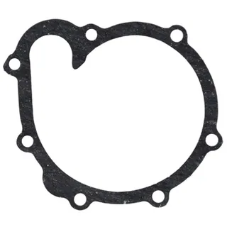Water Pump Gasket 04198968 for Deutz Engine BFM1013 TCD2013
