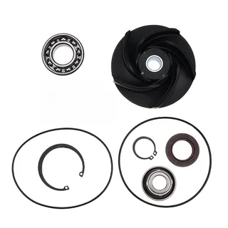 Water Pump Repair Kit 4955802 for Cummins Engine M11 ISM11 QSM11 ISM