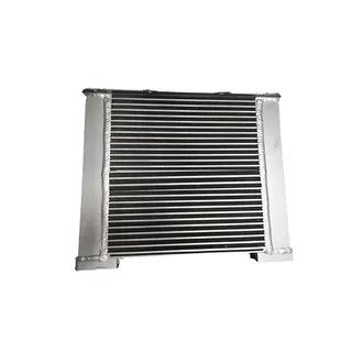 Water Tank Radiator 04259459 for Deutz Engine BF6M1013