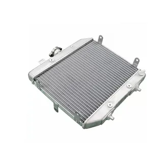 Water Tank Radiator 19010HN2505 19010HN2003 for 2001-2004 Honda ATV Foreman Rubicon 500 TRX500FA