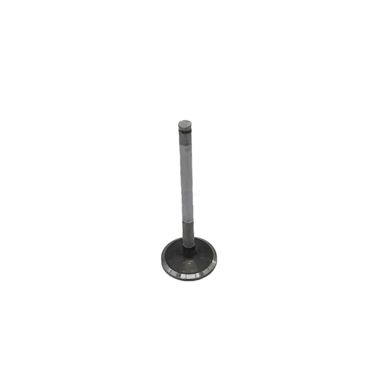 1 Set Intake Valves 65.04101-0041 for Doosan Engine GE08TI Original online
