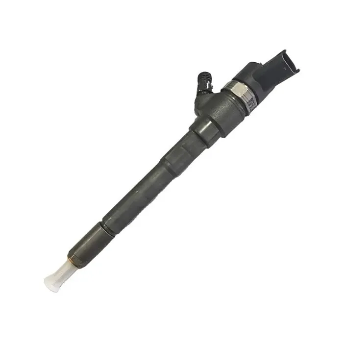 Fuel Injection 0445110253 for Hyundai D4EB CRDi TG online Fuel Injection 0445110253 for Hyundai D4EB CRDi TG online