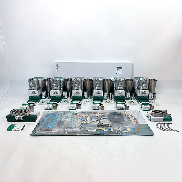 Overhaul Rebuild Kit for Doosan Daewoo D1146 Engine SOLAR 220LC Excavator online