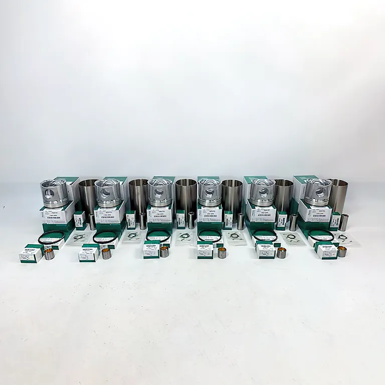Overhaul Rebuild Kit for Doosan Daewoo D2366 Engine DH280 DH320 online Overhaul Rebuild Kit for Doosan Daewoo D2366 Engine DH280 DH320 online