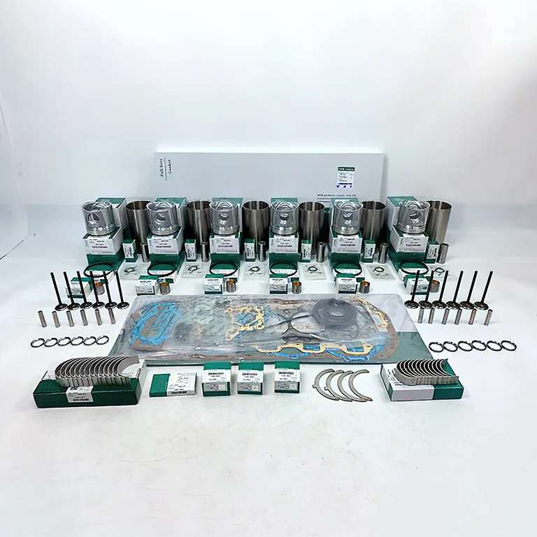 Overhaul Rebuild Kit for Doosan Daewoo DE12 Engine Solar 400LC 340LC online