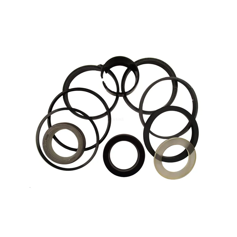 Pilot Valve Seal Kit For Case CX210B online
