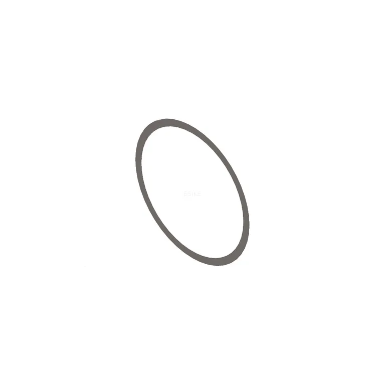 Shim 2899694 for Cummins Engine online Shim 2899694 for Cummins Engine online