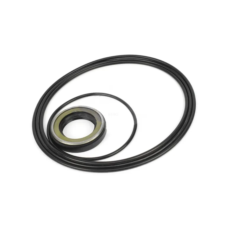 Swing Motor Seal Kit For DAEWOO DH210 online