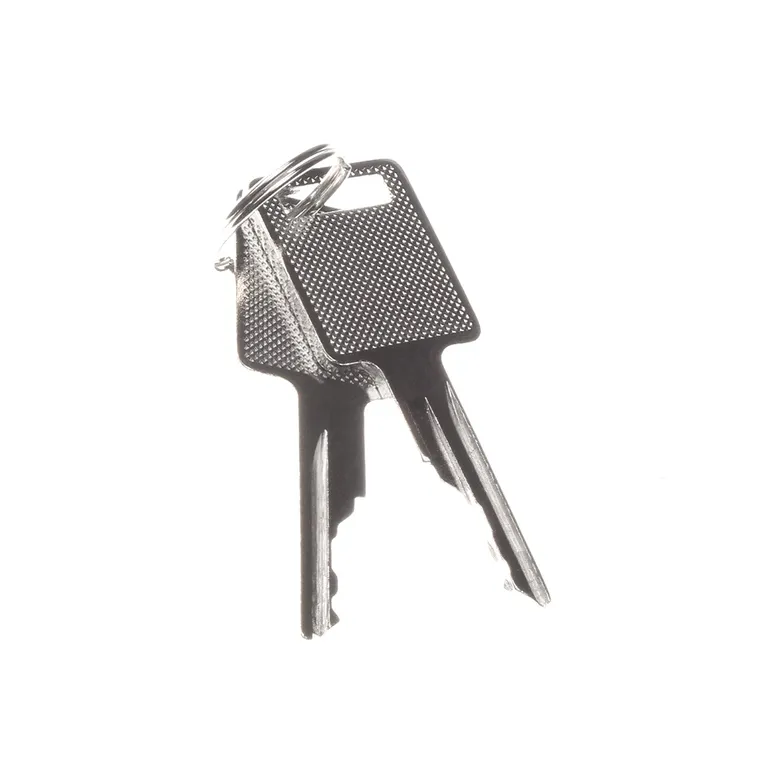 Two Handle Keys 6693241 6709527 for Bobcat S250 S300 S330 S510 S530 S550 S570 S590 S630 S650 S70 S750 S770 S850 T110 T140 T180 online Two Handle Keys 6693241 6709527 for Bobcat S250 S300 S330 S510 S530 S550 S570 S590 S630 S650 S70 S750 S770 S850 T110 T140 T180 online