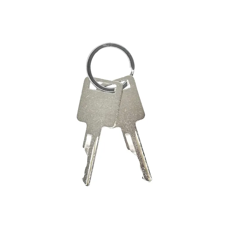 Two Handle Keys 6693241 6709527 for Bobcat T190 T200 T2250 T250 T300 T320 T550 T590 T630 T650 T750 T770 T870 TL360 TL470 TL470HF V417 online Two Handle Keys 6693241 6709527 for Bobcat T190 T200 T2250 T250 T300 T320 T550 T590 T630 T650 T750 T770 T870 TL360 TL470 TL470HF V417 online